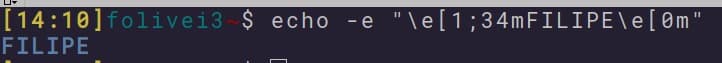 Printscreen of the terminal with my name uin blue