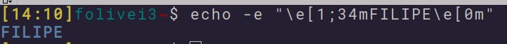 Printscreen of the terminal with my name in blue
